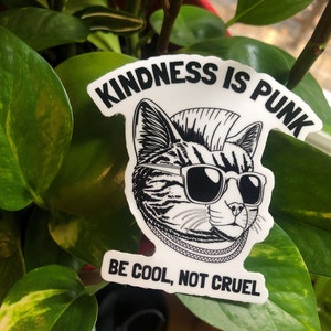 Sticker punk chat empathie gauchiste anarchisme punks soyez aimable moralité vinyle pour ordinateur portable