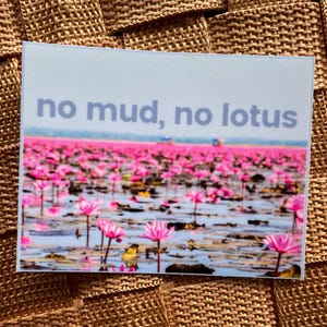 Buddhist dharma sticker - No mud no lotus - 3” vinyl decal