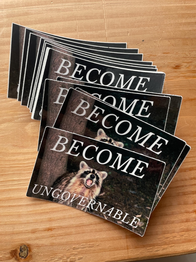 Unhinged raccoon sticker - become ungovernable, feral trash - 3" vinyl decal afbeelding 5