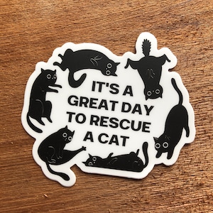 Rescue cat stickers kitty animal welfare silly kitten adopt pet cat lady Sticker