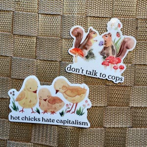 Leftist critters stickers anti-billionaire activist progressive activism abolitionist girlfriend anticapitalist anarchist sticker pack