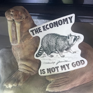 Raccoon Vinyl Sticker: Economic Philosophy Decal image 6