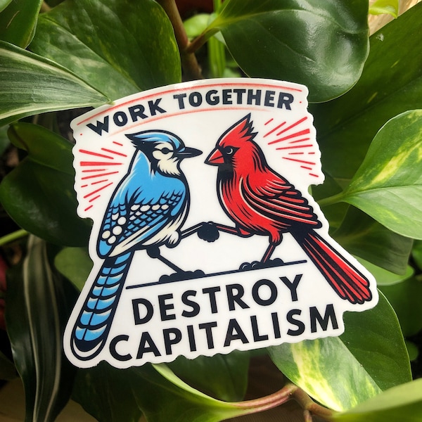 Cardinal Blue Jay funny Leftist Birds Anticapitalist Anarchist Socialist Vinyl Sticker