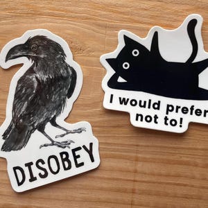 Crow & Cat Sticker Set - disobey - vinyl waterproof decals image 2