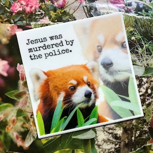 Anarchist Red Panda Jesus Christ Abolish Prison Leftist Vinyl Sticker