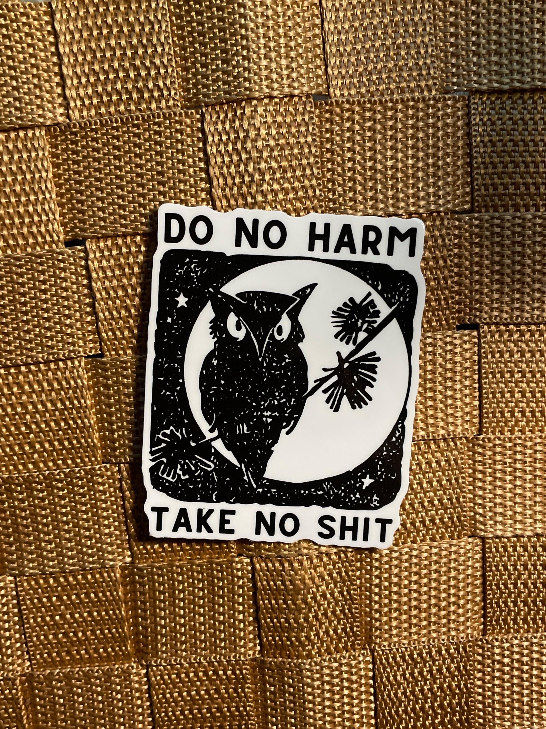Leftist punk sticker moon owl do no harm take no shit moonlight anarchist witch bird nerd spooky for