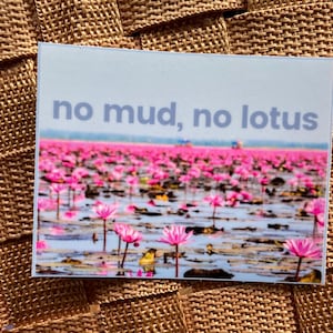 No mud no lotus Buddhist wisdom philosophy mental health adversity Dharma  Vinyl sticker