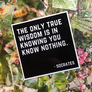 Socrates quote philosophy history wisdom humility education teacher professor therapist counselor Vinyl Sticker