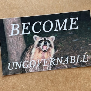 Raccoon sticker become ungovernable no gods no masters leftist punk anarchist general strike feral philosopher waterproof vinyl