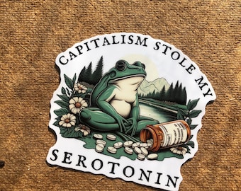 Funny Depression leftist frog antidepressants serotonin cottagecore wildflowers vinyl sticker