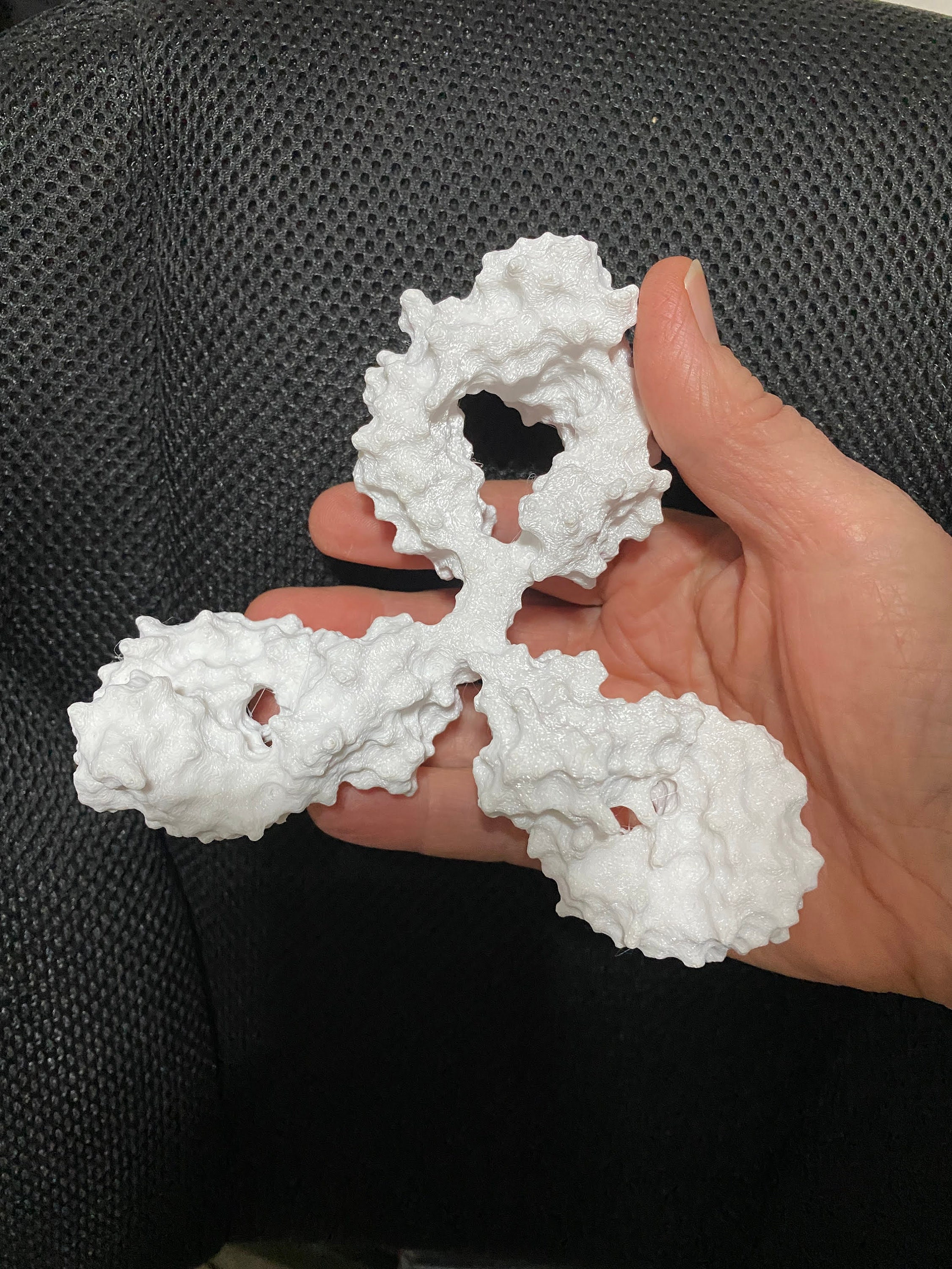 3D Printed Model of PDB 1HZH Crystal Structure of the Intact - Etsy