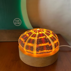 May include: A decorative lamp featuring a sea urchin shell design, emitting a warm orange glow. The shell is mounted on a round wooden base. The lamp is plugged in with a white cord. The background includes a surfboard with the text "YEP SURF".