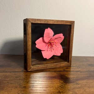 May include: A pink flower with yellow stamens is encased in a small, square wooden frame with a glass front. The frame is a warm brown color, and the flower is centered against a dark background. The piece is displayed on a wooden surface.