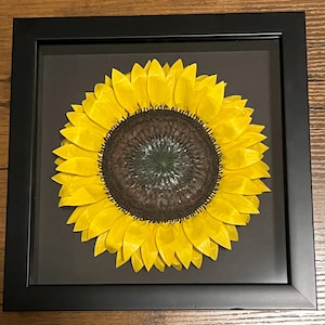 Peut inclure: Un tournesol encadr&eacute; avec des p&eacute;tales jaune vif et un centre brun fonc&eacute;. La fleur est plac&eacute;e sur un fond gris fonc&eacute; dans un cadre noir. Le tournesol est centr&eacute;, cr&eacute;ant une &oelig;uvre d'art visuellement &eacute;quilibr&eacute;e et attrayante.