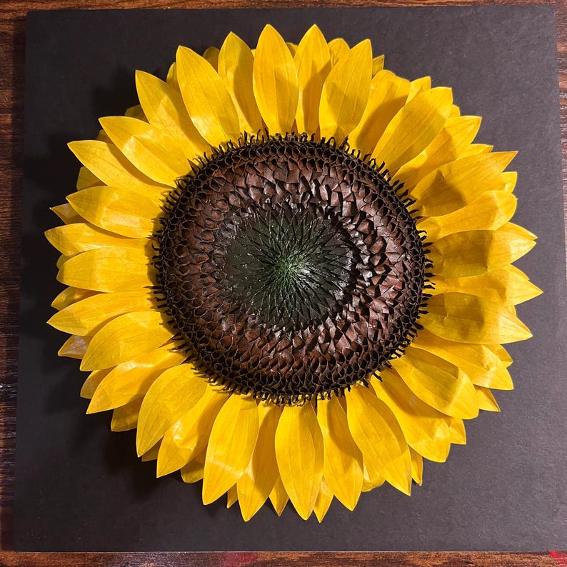 Peut inclure: Une &oelig;uvre d'art repr&eacute;sentant un tournesol avec des p&eacute;tales jaune vif et un centre brun fonc&eacute;. Le tournesol est pos&eacute; sur un fond sombre, mettant en valeur ses couleurs vives et ses d&eacute;tails complexes. Une pi&egrave;ce d'art floral.