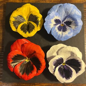 May include: Four pressed pansy flowers in yellow, blue, red, and white with dark centers. The flowers are arranged on a black background, showcasing their vibrant colors and intricate details. A botanical theme.