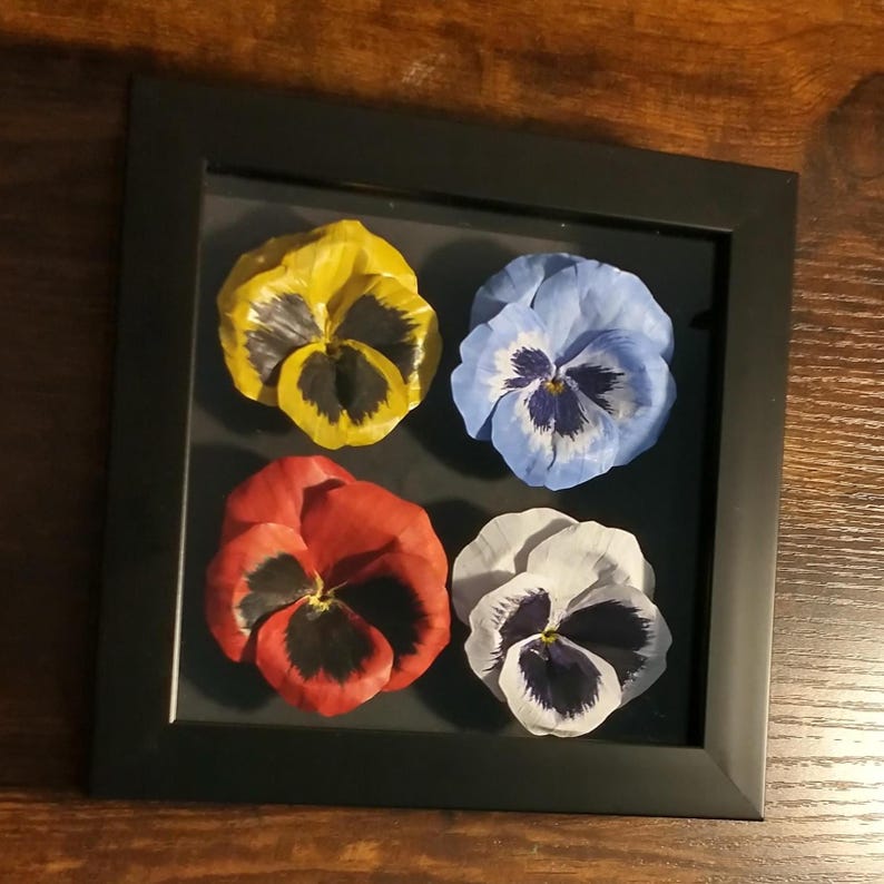 May include: A framed artwork featuring four pressed pansy flowers. The flowers are in yellow, blue, red, and white, each with a dark center. The black frame provides a contrasting border, enhancing the vibrant colors of the floral arrangement.