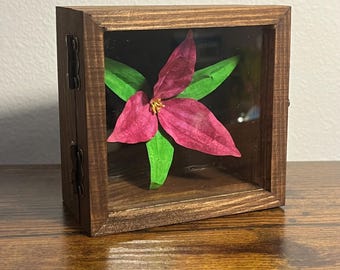 PNW Paper Trillium Shadow Box Sculpture