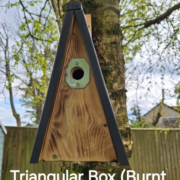 Triangular Bird Box Design Bird Box - Etsy UK