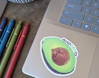May include: A laptop with an 'AVOCATO' sticker featuring a sleeping cat inside an avocado. Four pens in blue, green, and red are arranged to the left of the laptop. A small potted plant is in the upper left corner. The laptop is on a wooden surface.