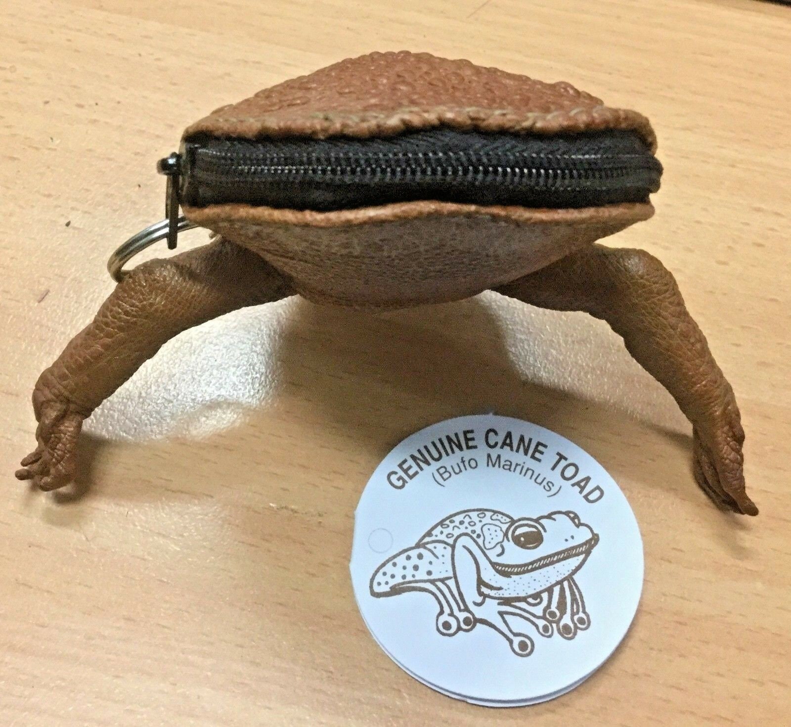 1 Stunning Cane Toad Skin Full Body Zip up Coin Purse Etsy