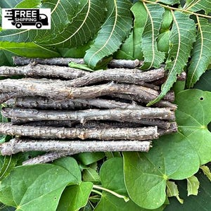 May include: A collection of brown, dried sticks is arranged on a bed of green leaves. The leaves are of different shapes and sizes. The image also includes the text "FREE SHIPPING" with a graphic of a truck.