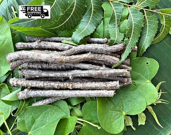 Giloy – Tinospora cordifolia – Guduchi Whole Dried & Broken Stems – Natural Botanical Herb
