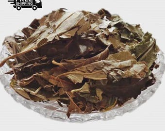 Harsingar Parijat Leaves – Nyctanthes Arbor-Tristis – Night Jasmine Leaves – Raw Dried Herbs – 100gm