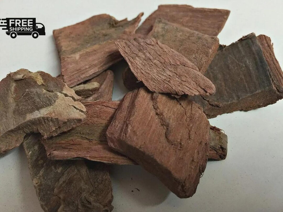 Arjuna Tree Bark (terminalia Arjuna) — Whole Arjun Chaal / Chhal ...