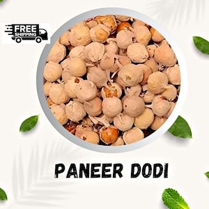 Peut inclure: Gros plan sur du Paneer Dodi, un ensemble de petits fruits secs ronds et beiges, remplissant un bol blanc. Le texte "Paneer Dodi" est affiché en gras, en lettres noires. Des feuilles vertes sont dispersées autour du bol sur fond blanc.