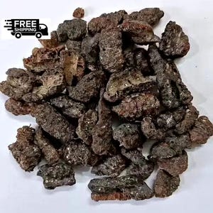 Lakh Pipal – Ficus Religiosa Shellac Lac – Natural Resin from Holy Fig Tree – 100gm