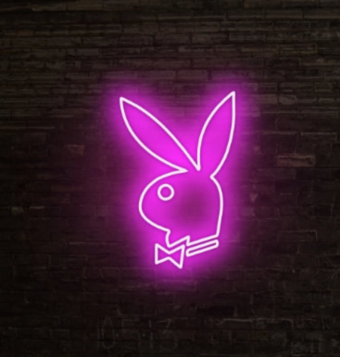 Playboy neon sign Bunny neon light signDollar Led neon sign | Etsy