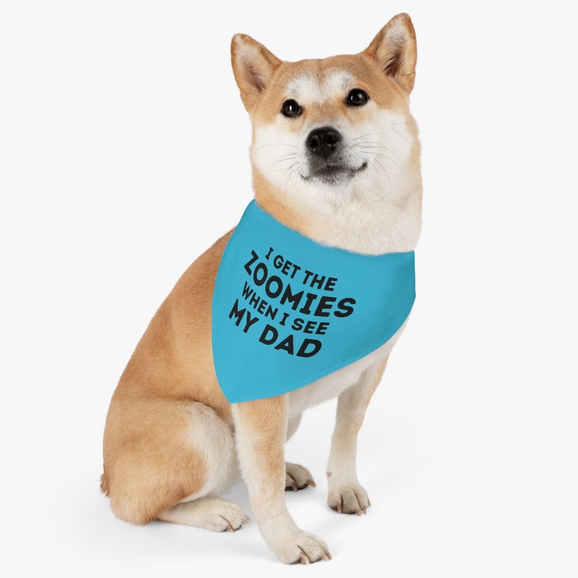 Zoomies Pet Collar Fathers Day Gift from Dog Dog Zoomies | Etsy