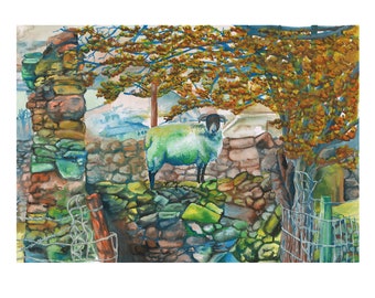 Carlingford: Un mouton sur un mur. Impression d’aquarelle