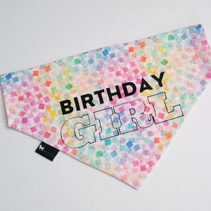Birthday Girl Dog bandana, Birthday dog bandana, Slip over the collar dog bandana, Pet Scarf, custom bandana for girl dog, personalized