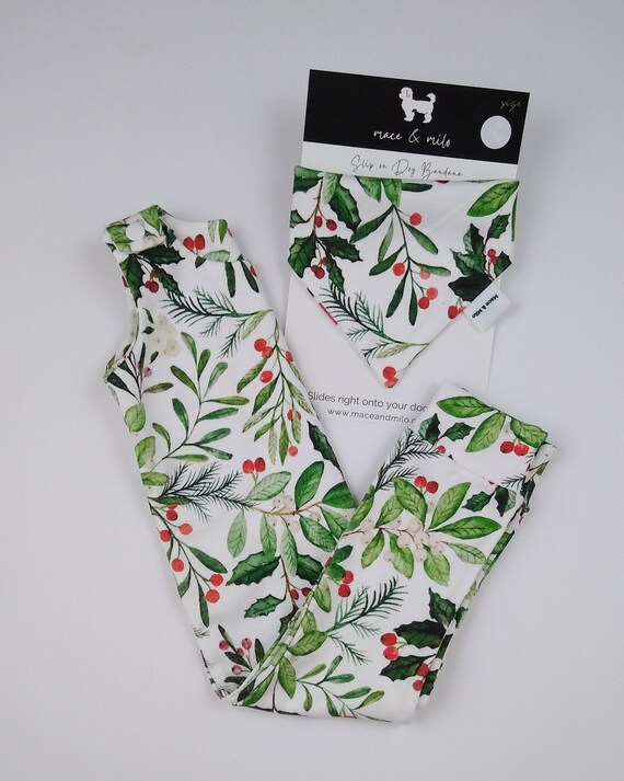 Matching dog and clearance baby christmas outfits
