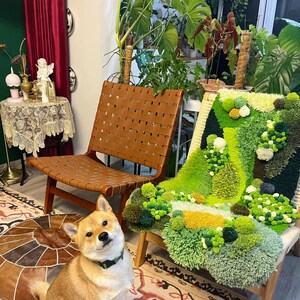 May include: A brown leather chair with a woven back and seat, a brown and tan patterned rug, and a Shiba Inu dog sitting on the rug. The chair is in front of a green and white rug with a textured design.