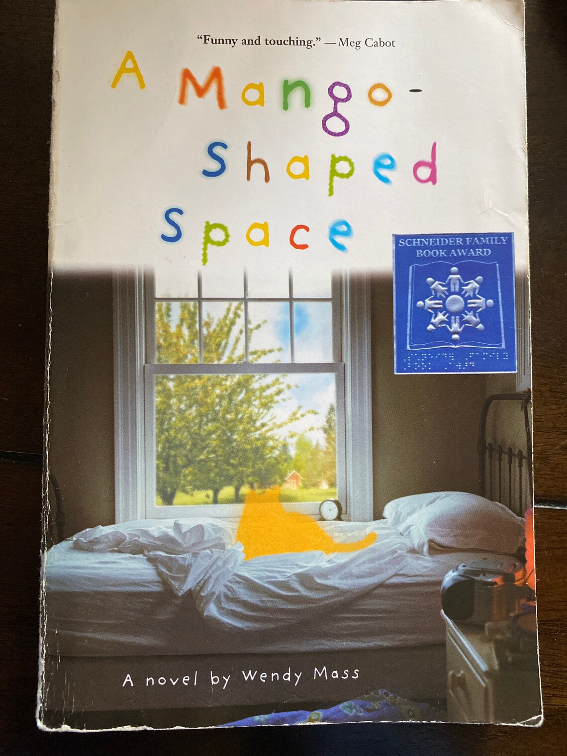 A Mango Shaped Space by Wendy Mass Etsy