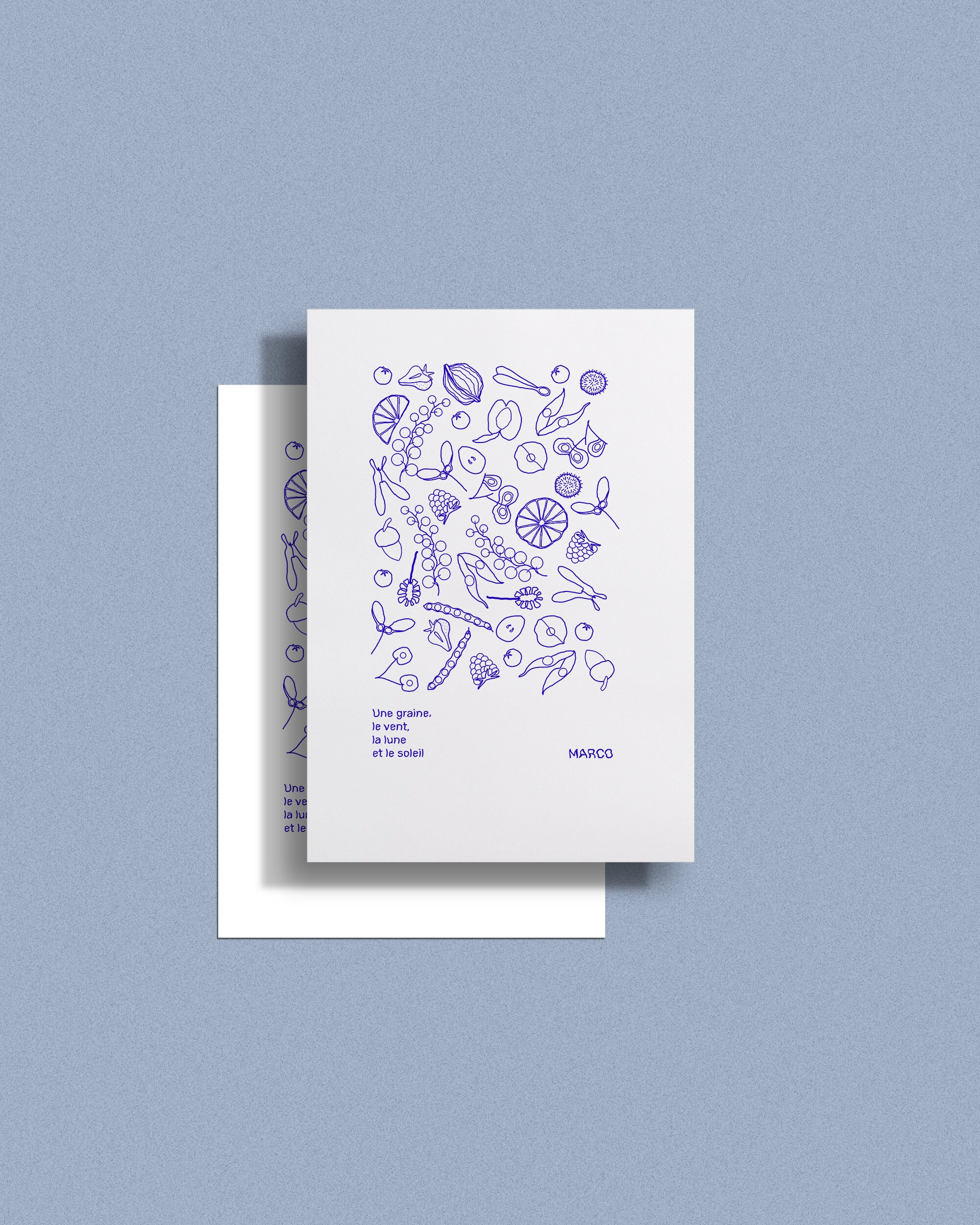 Coloriage de graines - Etsy France