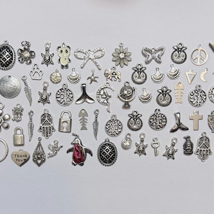 May include: A collection of assorted silver-toned metal charms in various shapes including animals, flowers, hearts, geometric symbols, and keys. The charms feature intricate detailing, some with embedded crystals or coloured accents, and include a heart charm with the text Thank You and another with the text Blessed Be.
