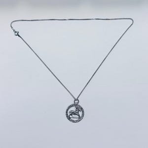 Silver Necklace (Ram)