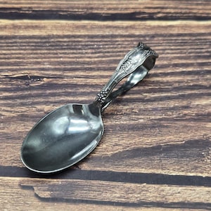 May include: A silver-colored spoon with a decorative handle featuring a grape design. The spoon has a rounded bowl and a handle that curves into a clip. The spoon is set against a dark wood grain background.