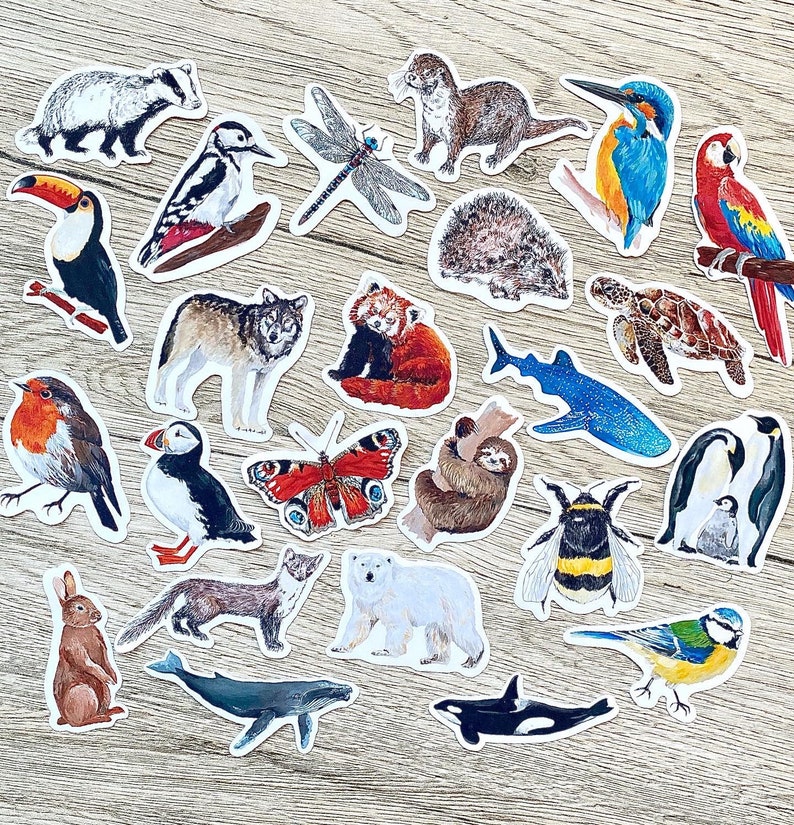 Animal Sticker Variety Pack 10 or 20 Sticker Packs Handmade Etsy