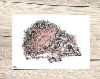 Igel A4 Kunstdruck