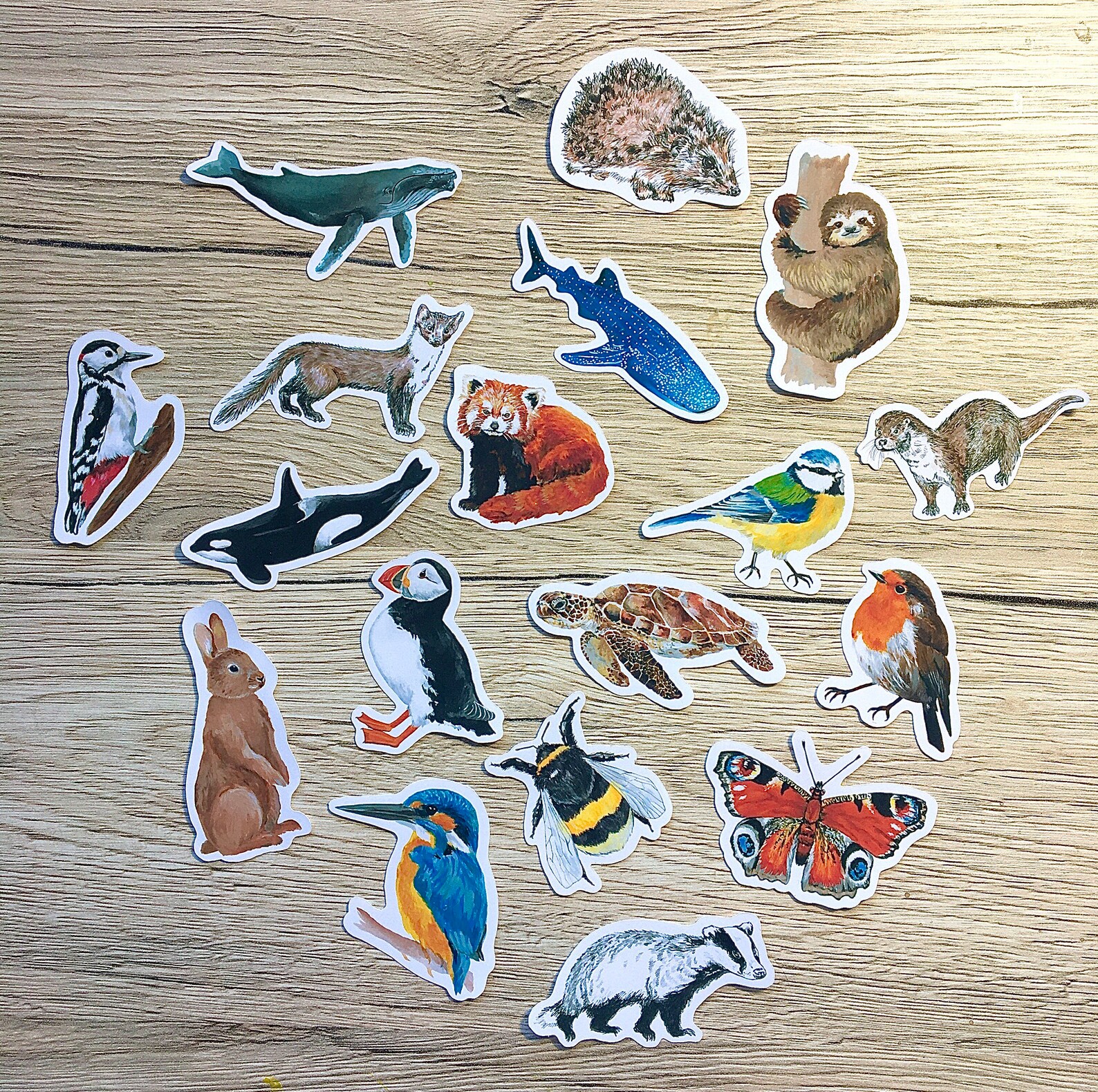 Wildlife Sticker Variety Pack 10 or 20 Sticker Packs | Etsy