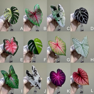 Realistic Plant Leaf Badge Reel, ID Holder, Kawaii Retractable, Badge Holder Accessory