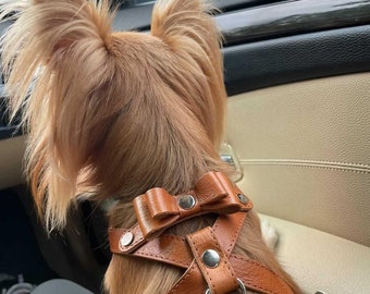 Designer dog harness / dog harness with bow tie / Small dog accessories / natural leather