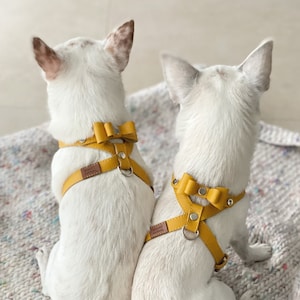 Dog harness, small dog harness, Leather harness with bow tie, Natural leather harness