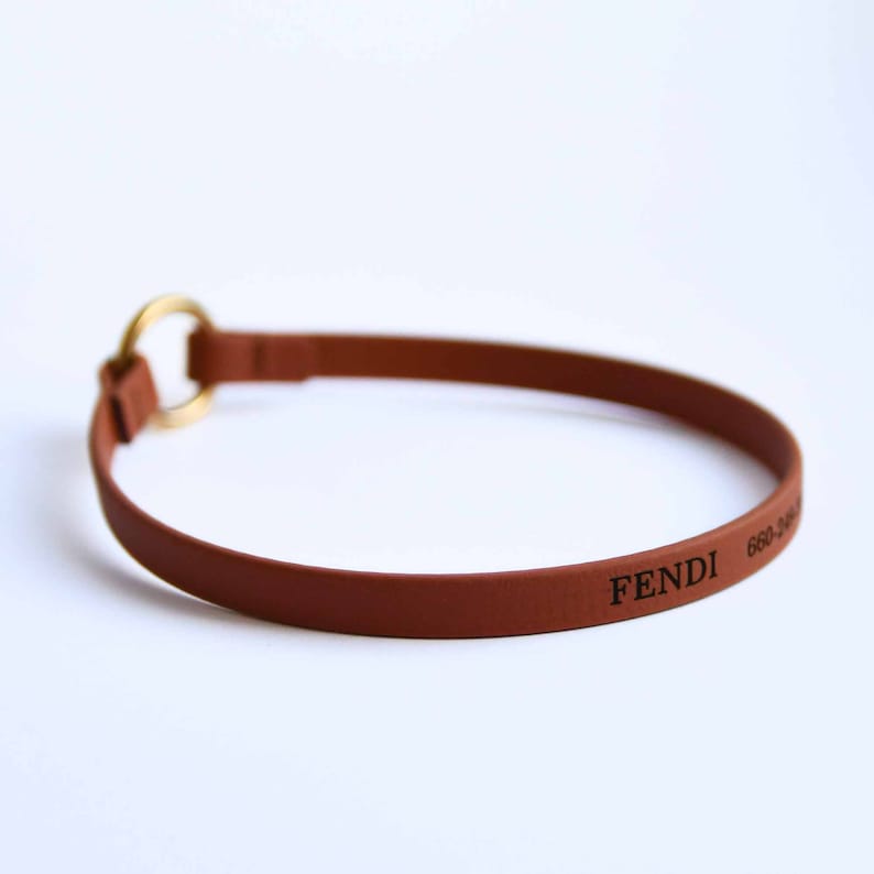 ID Tag Dog House Collar Mix of Colors Biothane Personalization of Name