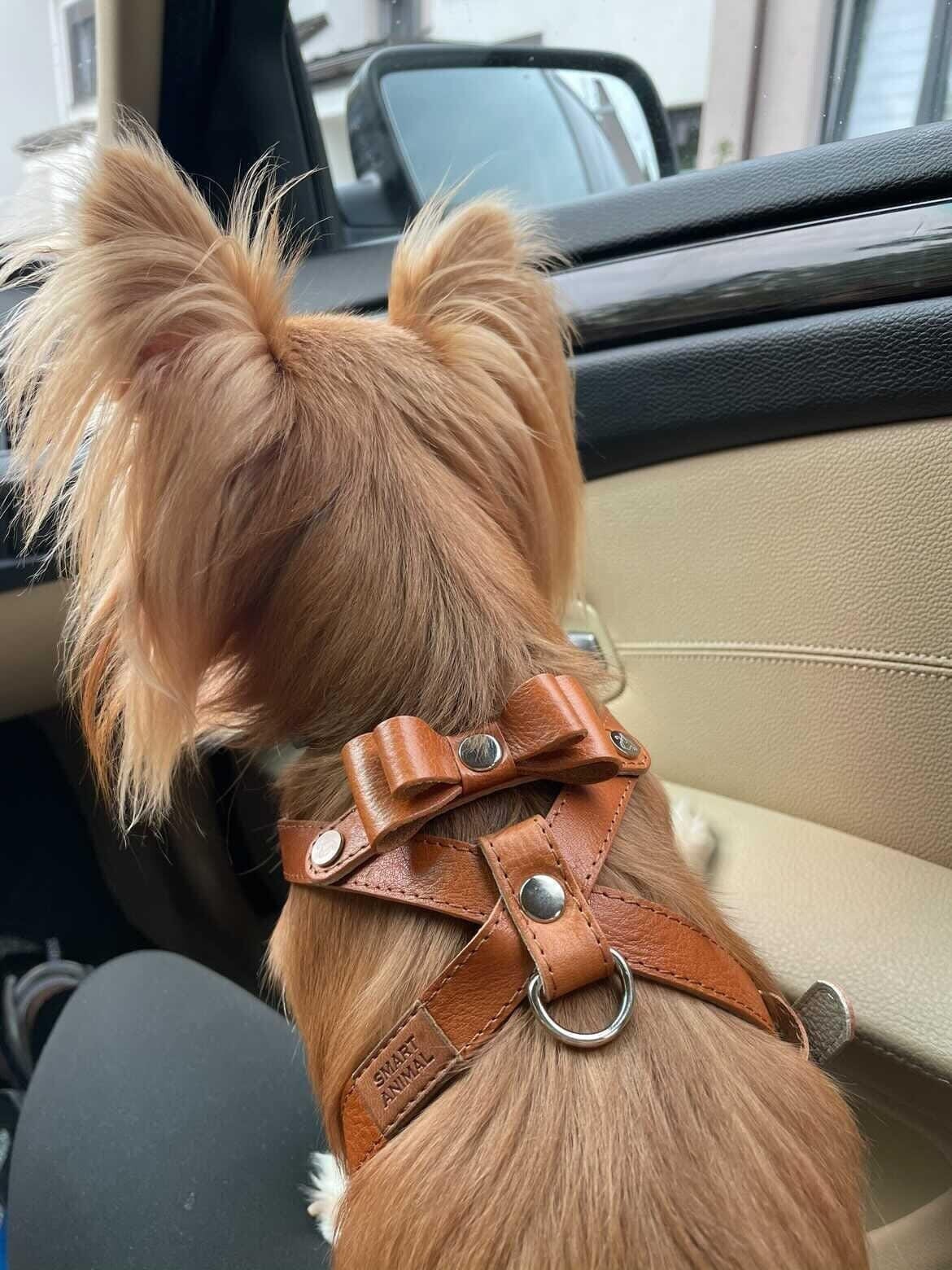 Plain Step in Luxury Dog Harness - Neutrals